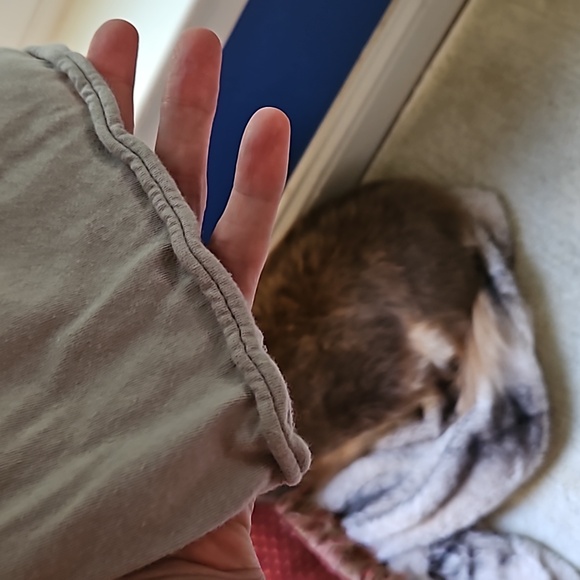 Harley Davidson ladies tee - Picture 2 of 4